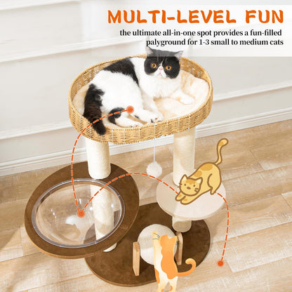 Modern Cat Tree for Indoor Cats, Wood Cat Tree with Natural Ball