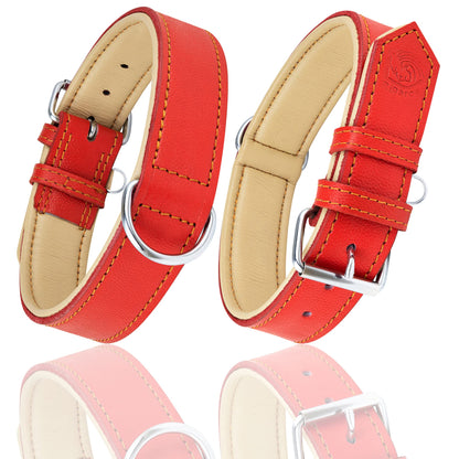 Riparo Large Dog Collar, Dog Collar for Large Breeds, Dog Collar
