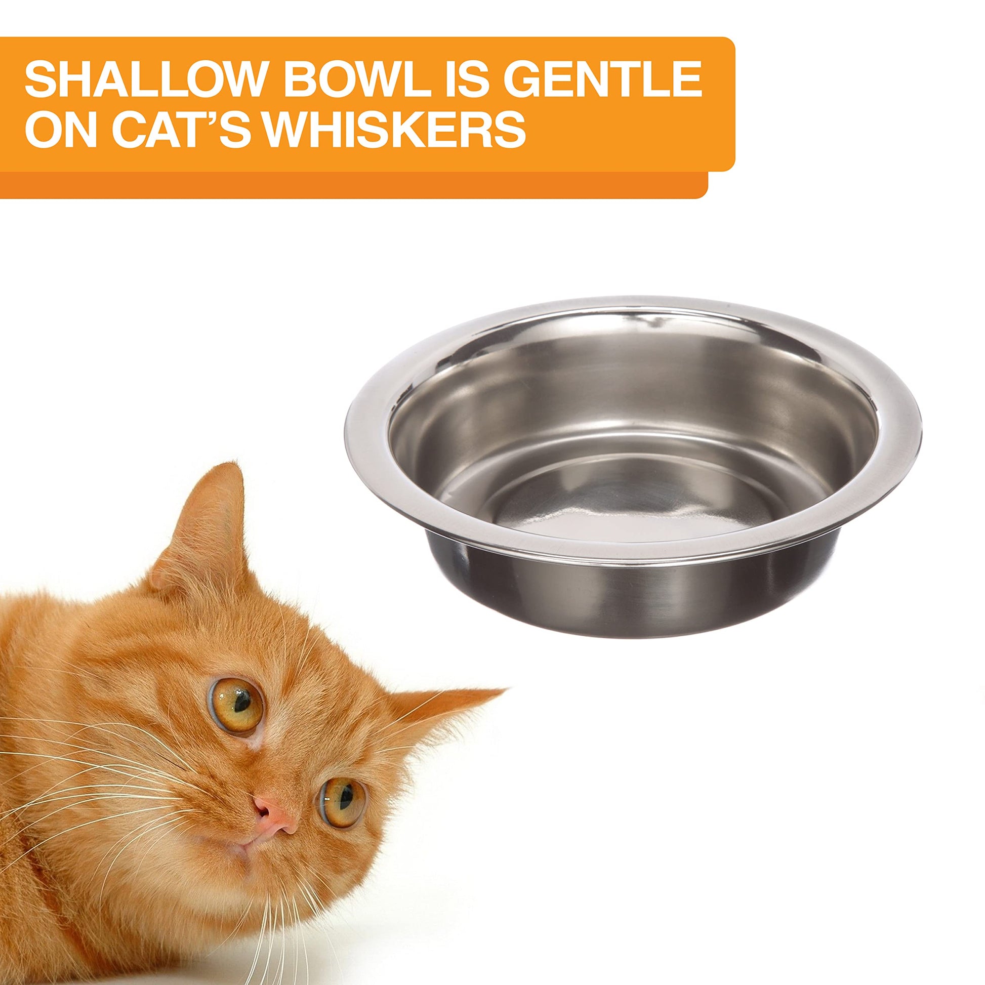 Neater Pet Brands Neater Feeder Deluxe Mess Proof Cat Bowls Bowl
