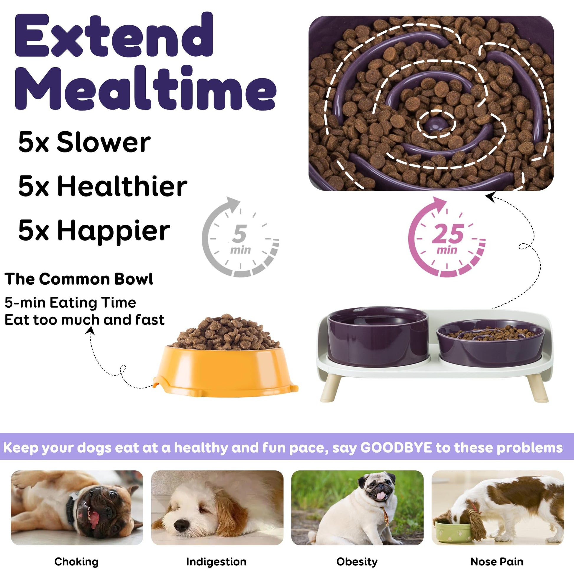 Elevated Slow Feeder Dog Bowls Ceramic Food and Water Bowl Set