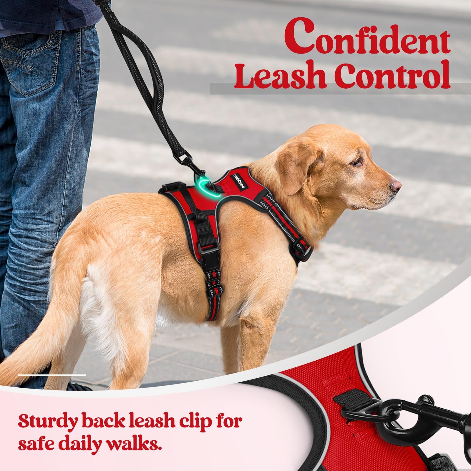 rabbitgoo Dog Harness, No-Pull Pet Harness with 2 Leash Clips Leash