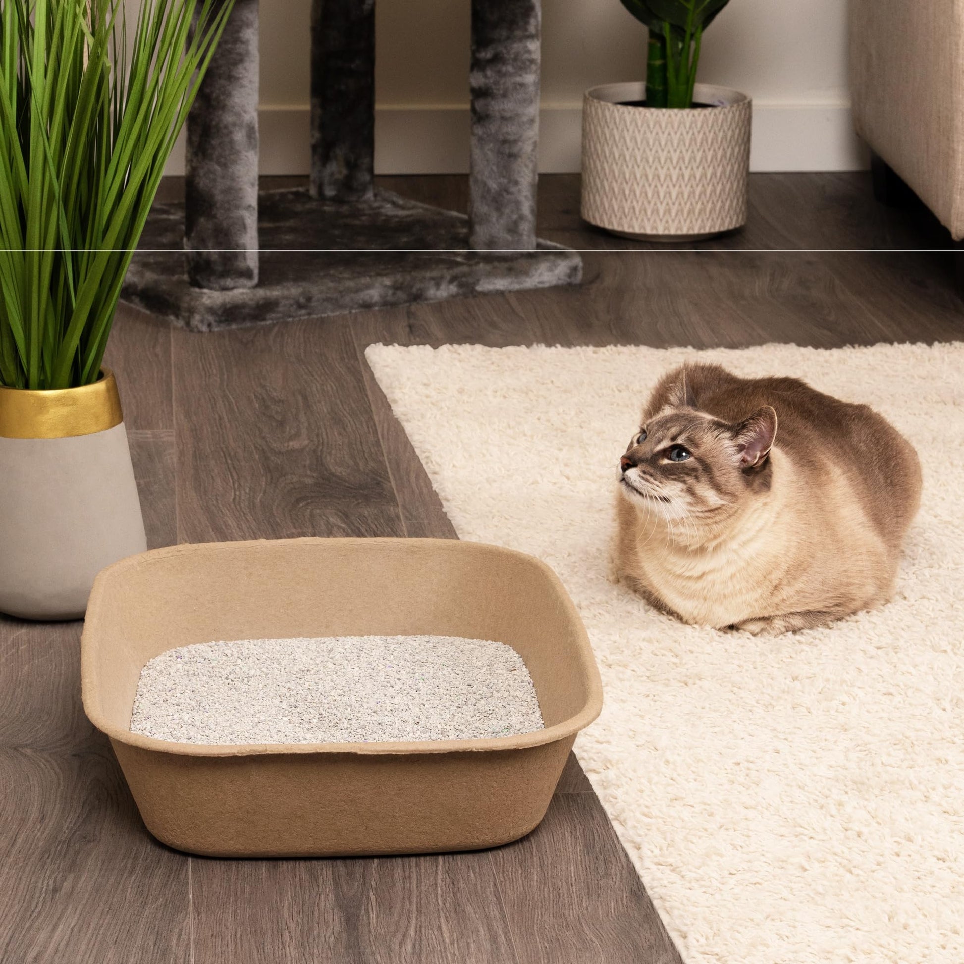 Kitty Sift Disposable Cat Litter Box Large, 6 Count, Durable Box