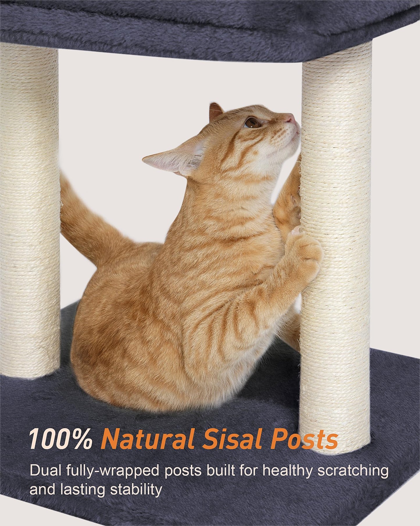 KinoTail Cat Tree with Large Top Perch Bed (19"×15.8"), Tower