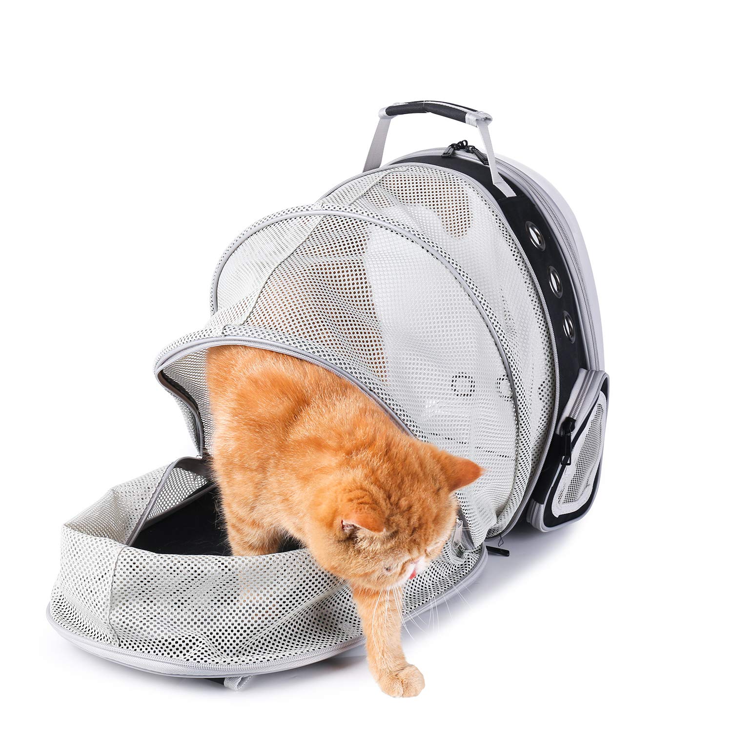 Lollimeow Cat Carrier Backpack, Expandable Bubble Pet Carrier