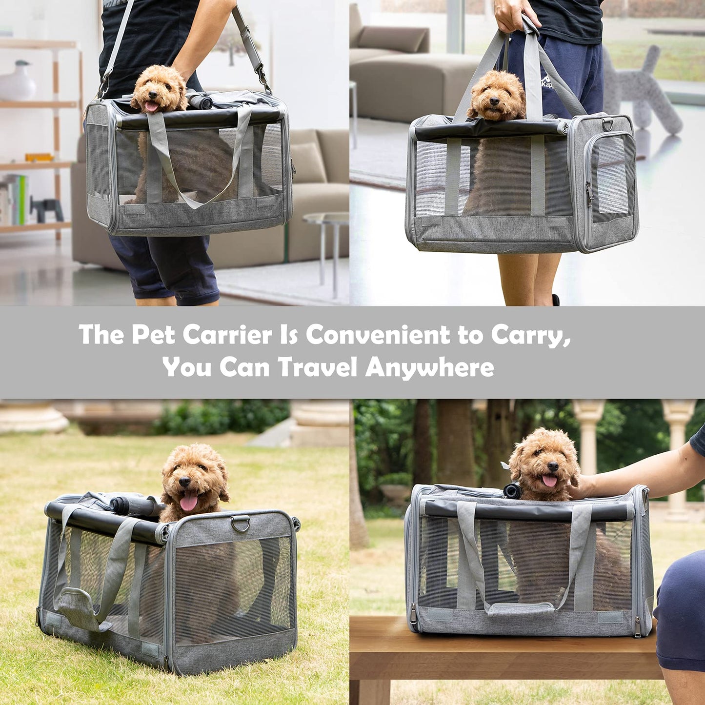 GAPZER Pet Carrier for Large Cats, Soft-Sided Cat Carrier