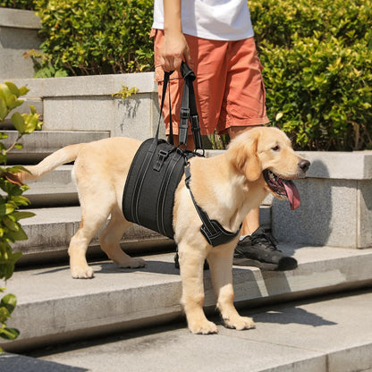 NOYAL Dog Lift Harness Sling Adjustable Pet Carrier for Senior