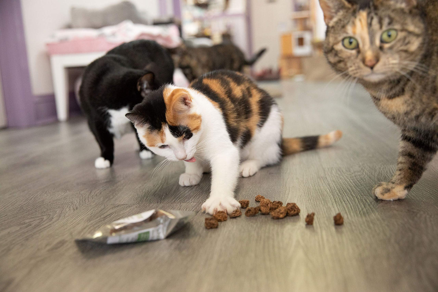 Meowy Janes Whole Silvervine Fruit- Dried Silvervine Gall Fruit Toy