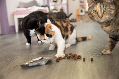 Meowy Janes Whole Silvervine Fruit- Dried Silvervine Gall Fruit Toy