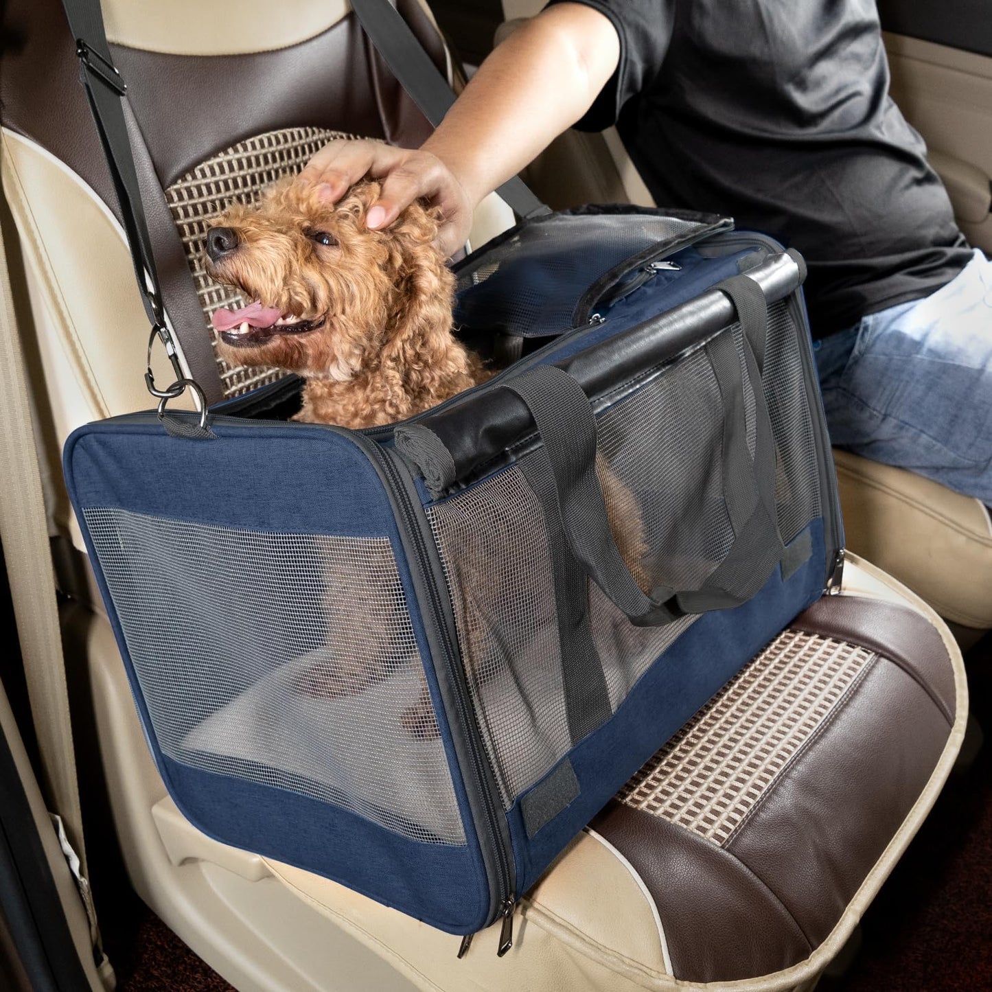 GAPZER Medium Cat Carrier Large Cat + Soft Pet Carrier