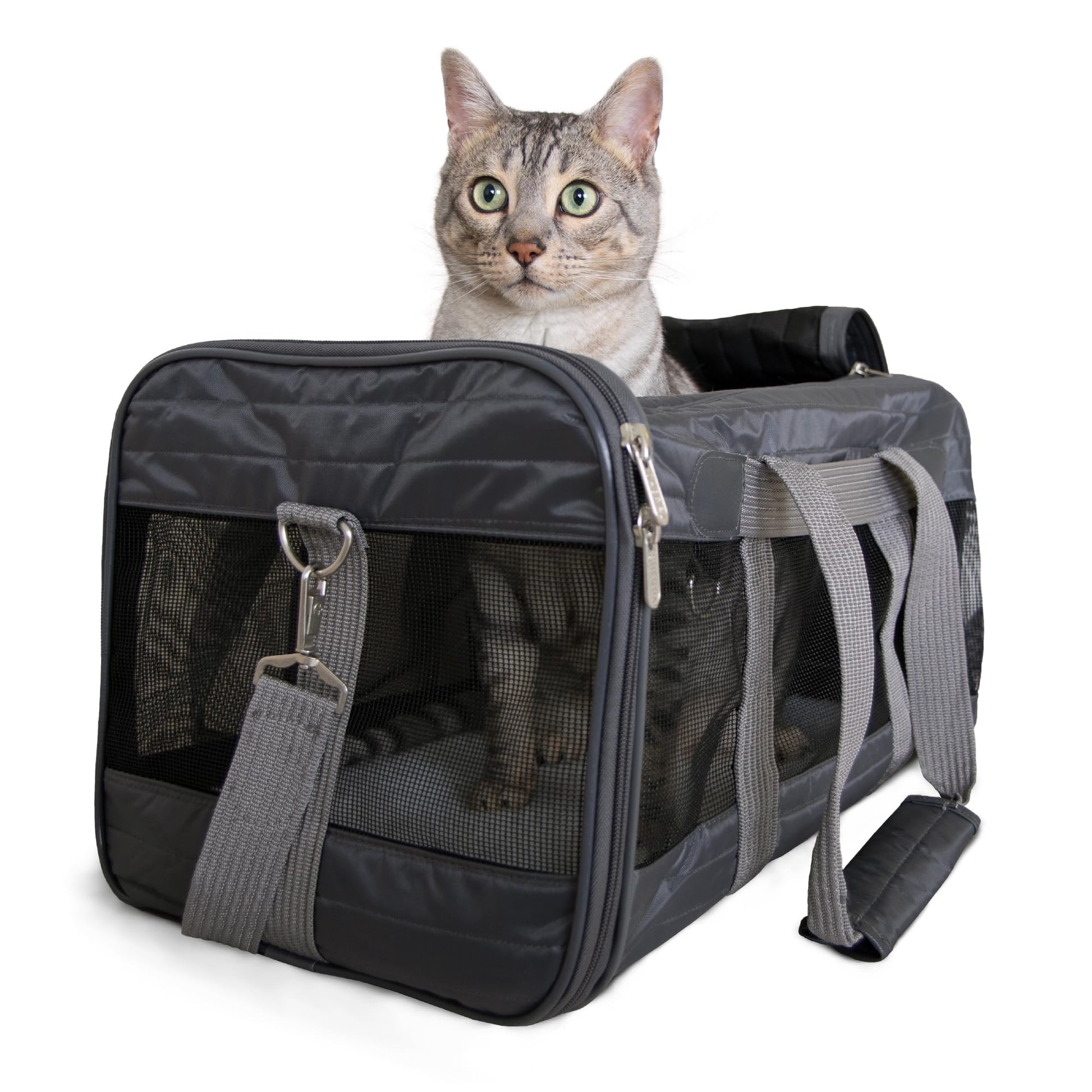 Sherpa Pet Carrier Airline Approved with Spring Wire Frame Cat Carrier
