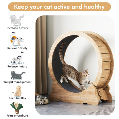 Cat Exercise Wheel, Cat Running Wheel with Smooth and Quiet Teaser