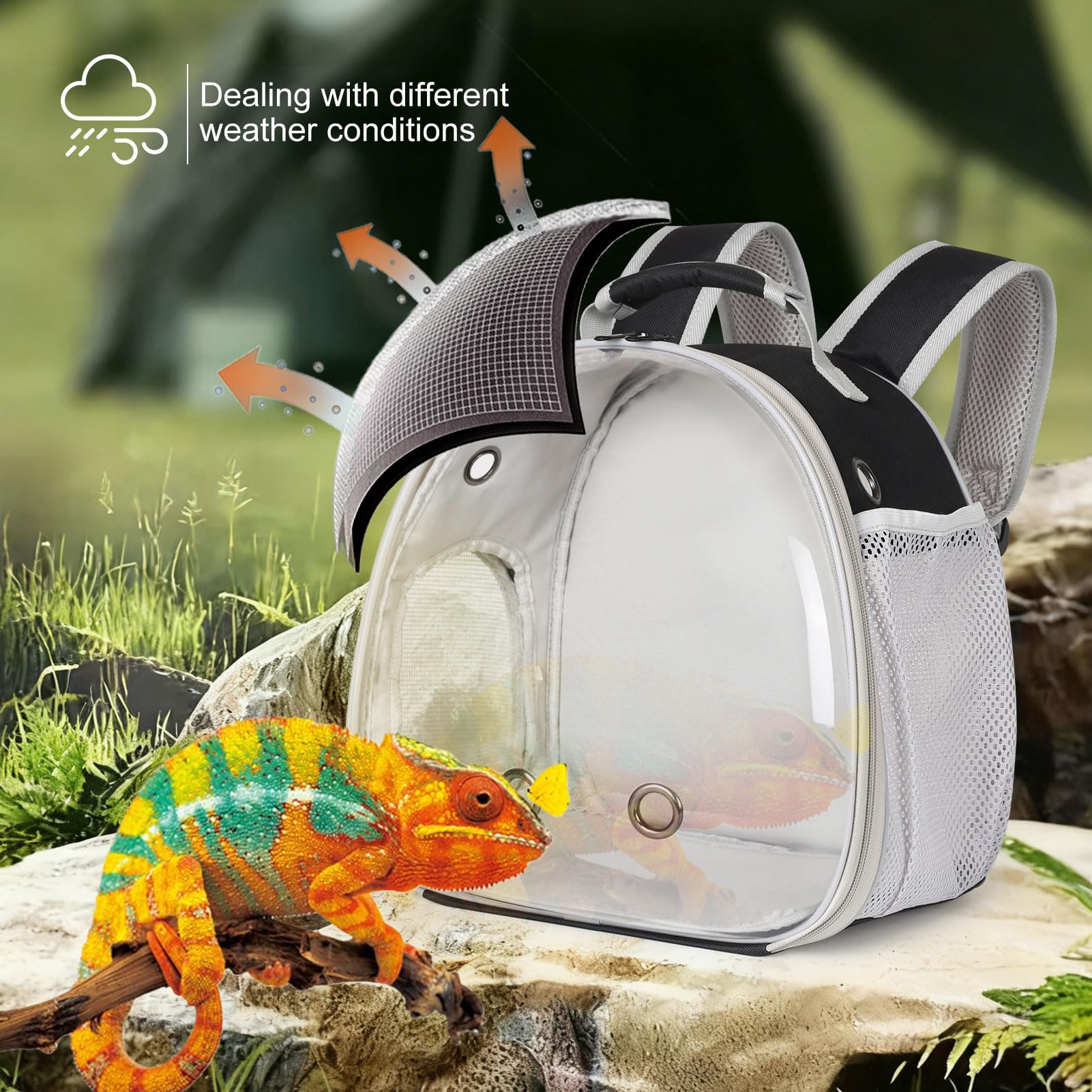 Guinea Pig Backpack Carrier, Bearded Dragon Carrier Backpack
