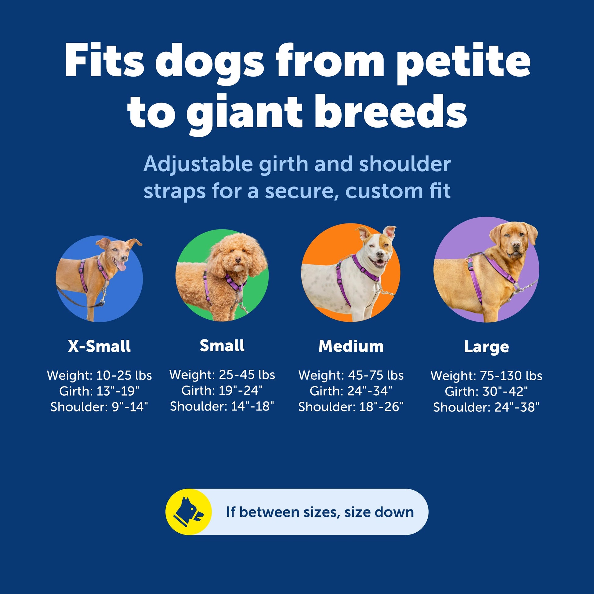 PetSafe 1 Dog Harness No Pull Solution for Dogs Reflective Dog Harness