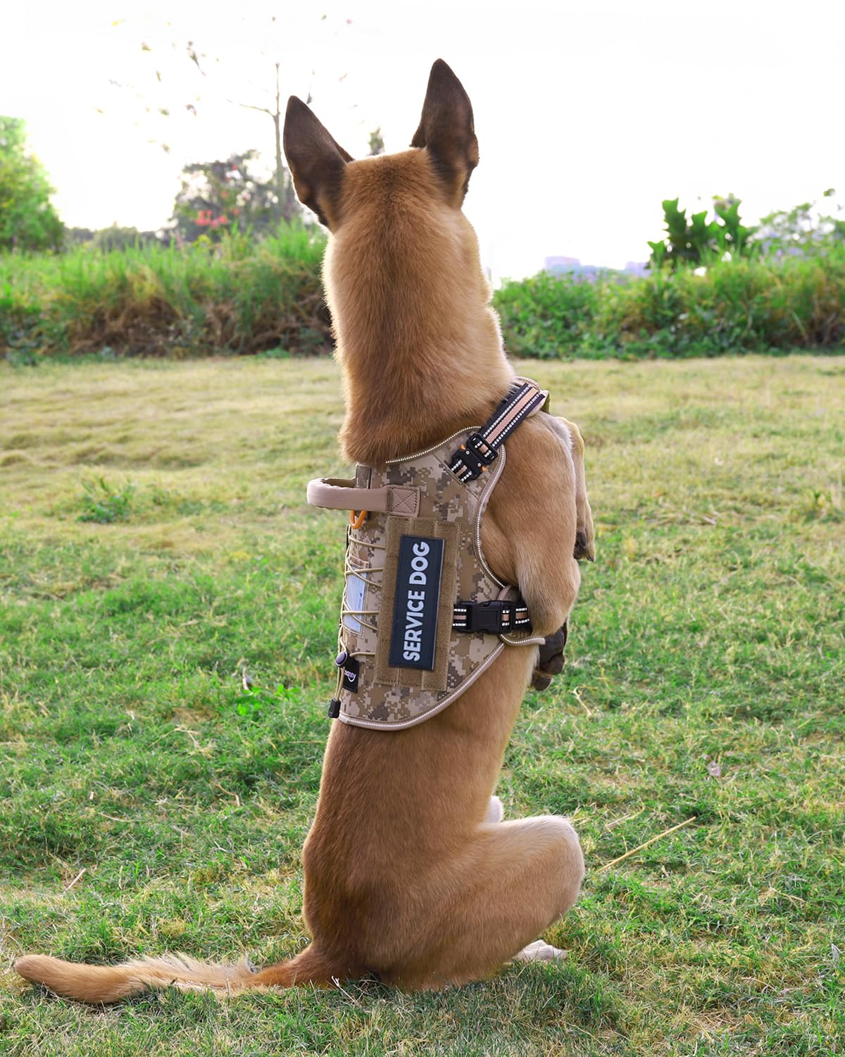 PETNANNY Tactical Dog Harness Reflective with ID Card,Service Dog Vest
