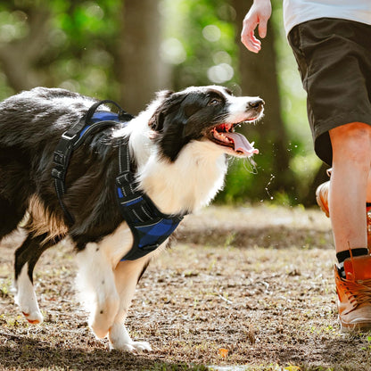 rabbitgoo Dog Harness No-Pull, Comfortable Padded Plaid Harness