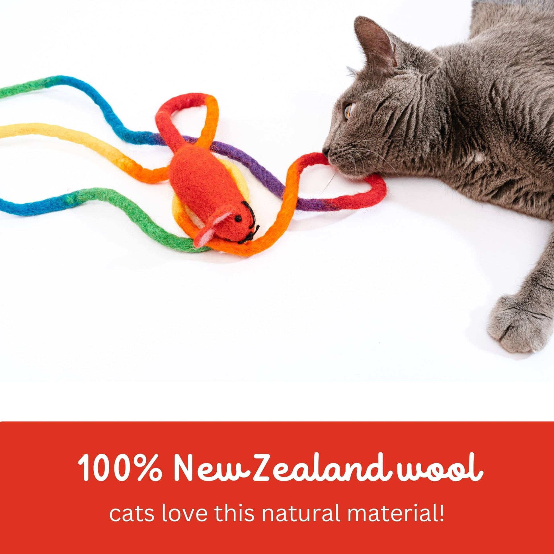 Catch a Mouse Wool Cat Toy with a 6-Ft Tail for Indoor Cats Catnip