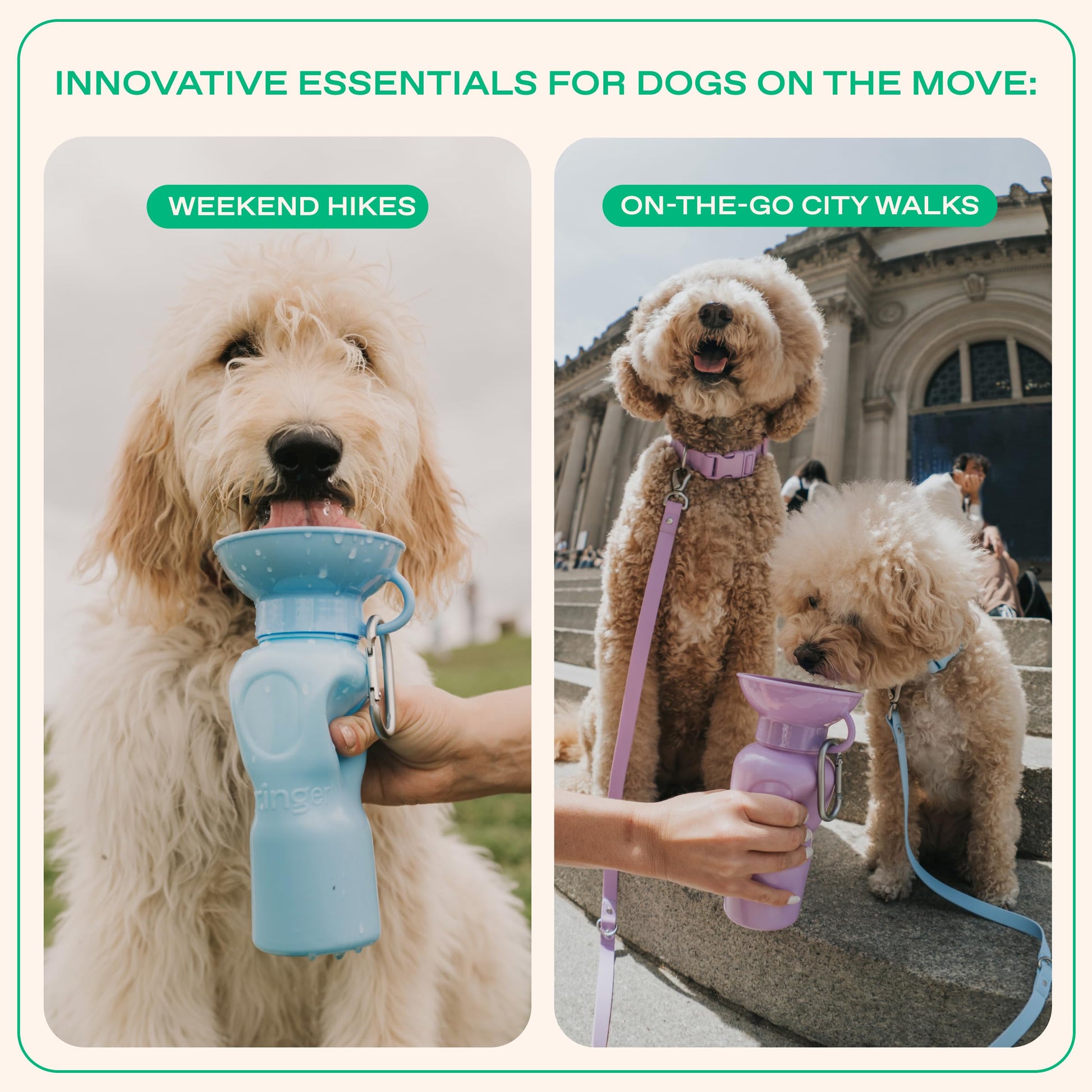 Springer Dog Water Bottle, Portable Travel Drinking Feeder Dispenser