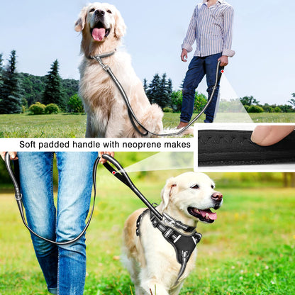 WINSEE Pet Harness Collar and Leash Set, Reflective Dog Harness Collar