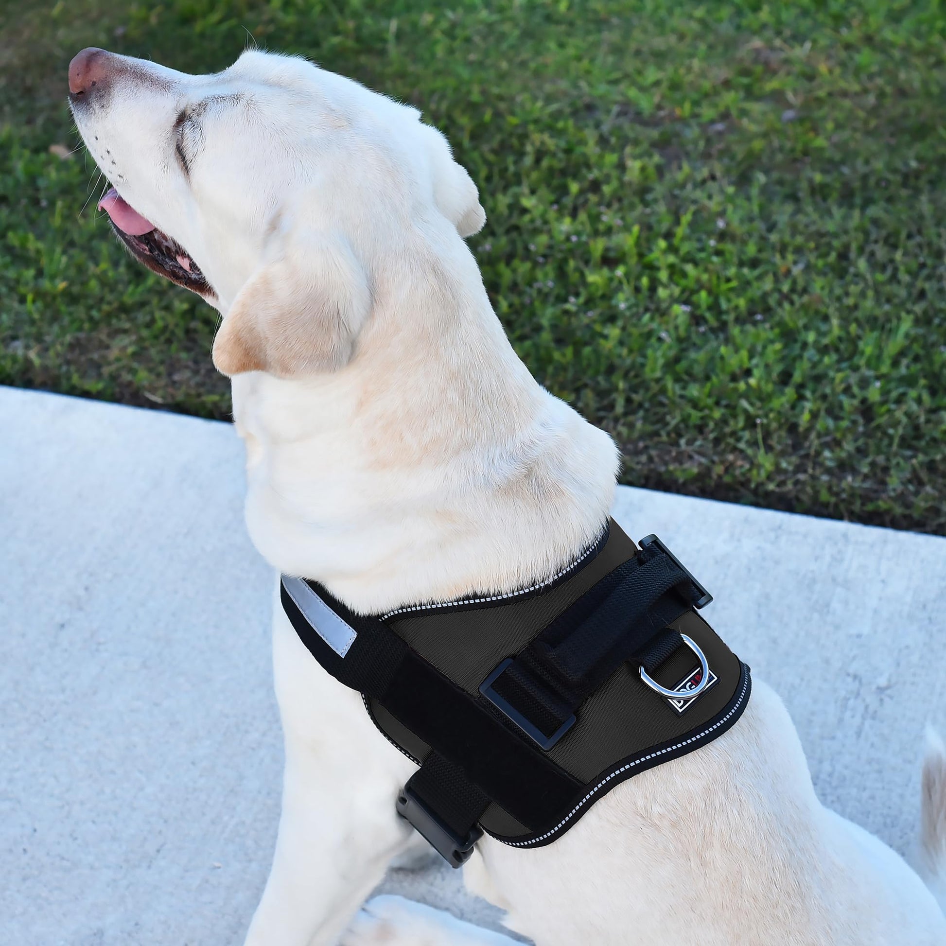 Dogline Dog Harness, Reflective No-Pull Adjustable Vest with Harness