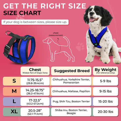 Gooby Comfort X Head In Harness Medium No Pull Small Dog Harness