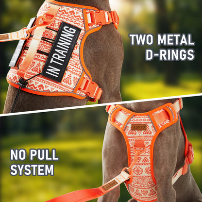 AUNZO Tactical Dog Vest Harness No Pull Easy Walker Pet Harness