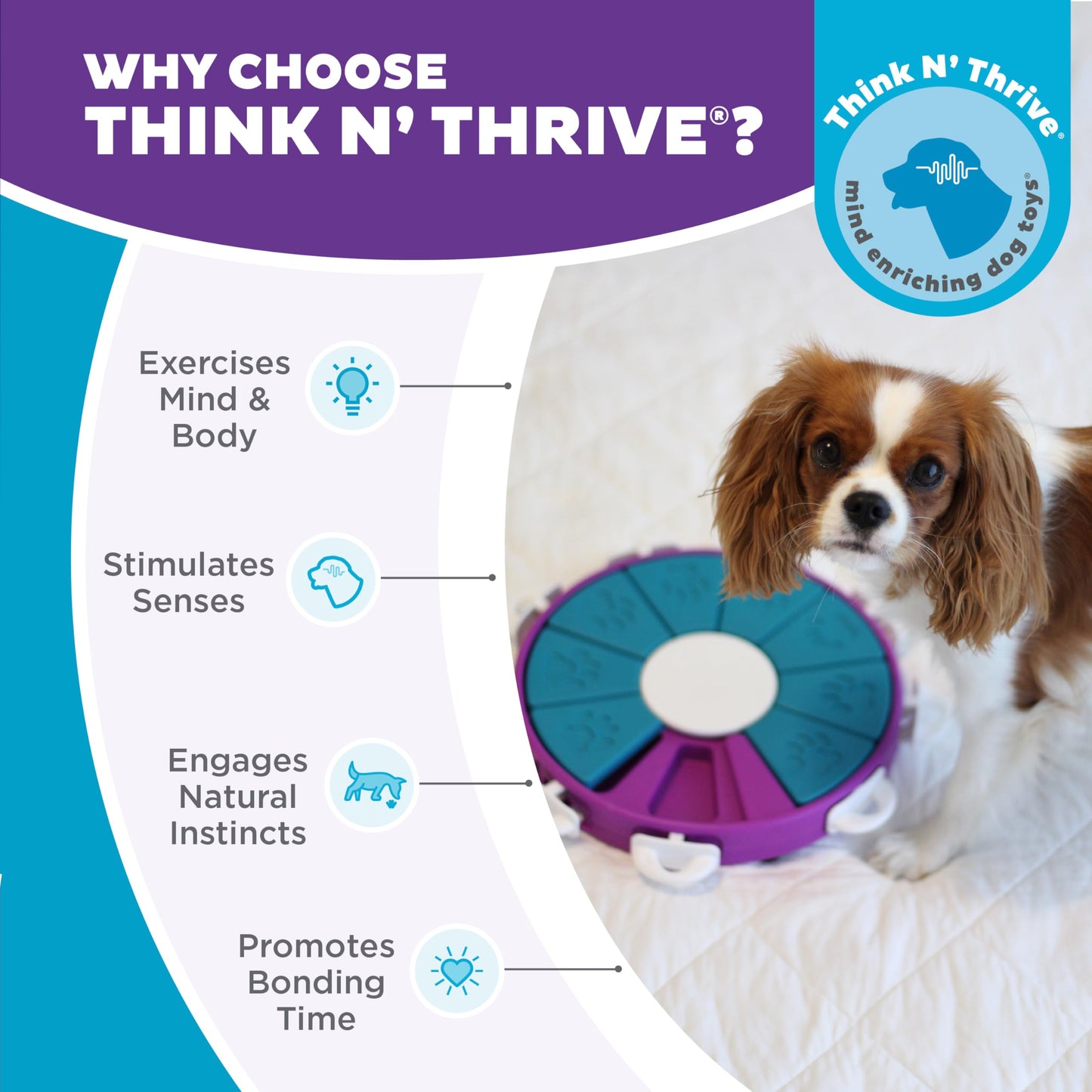 Outward Hound by Nina Ottosson Dog Twister Interactive Treat Puzzle