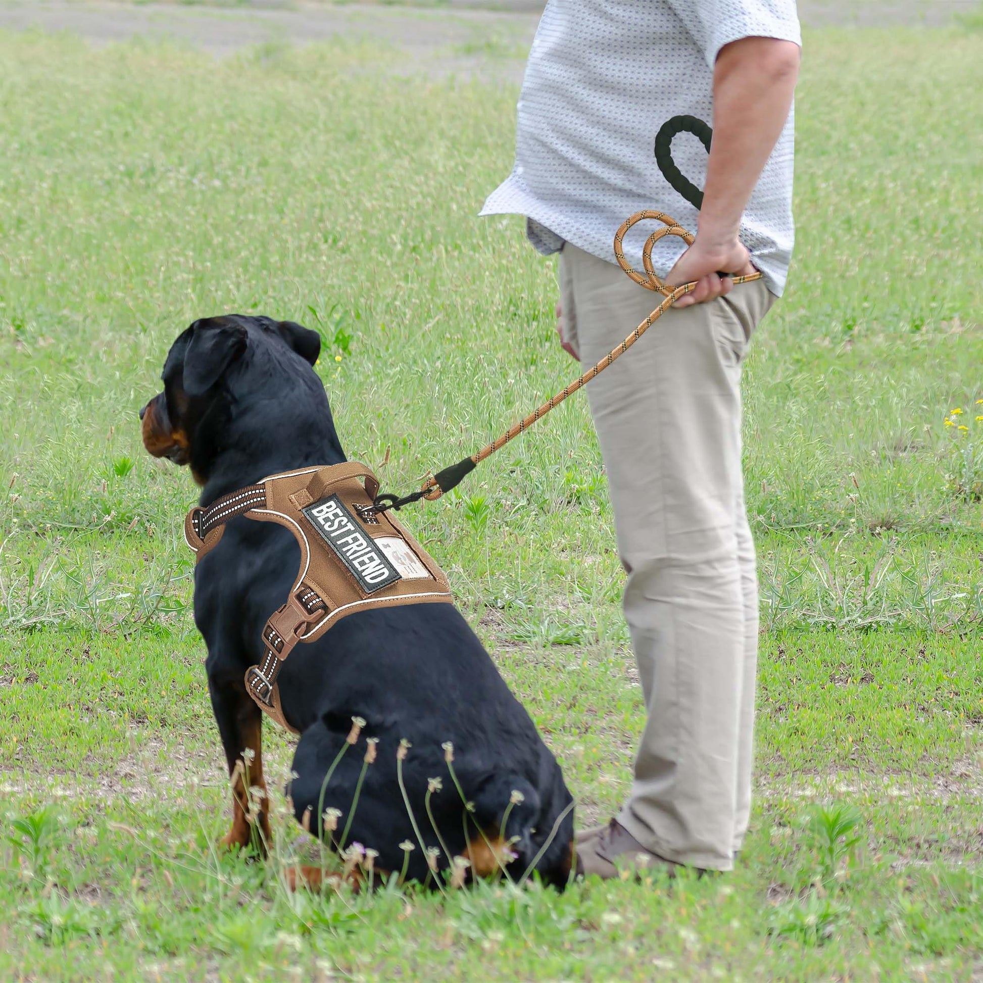 Beebiepet Heavy Duty Tactical Dog Harness for Large Dogs, No Harness