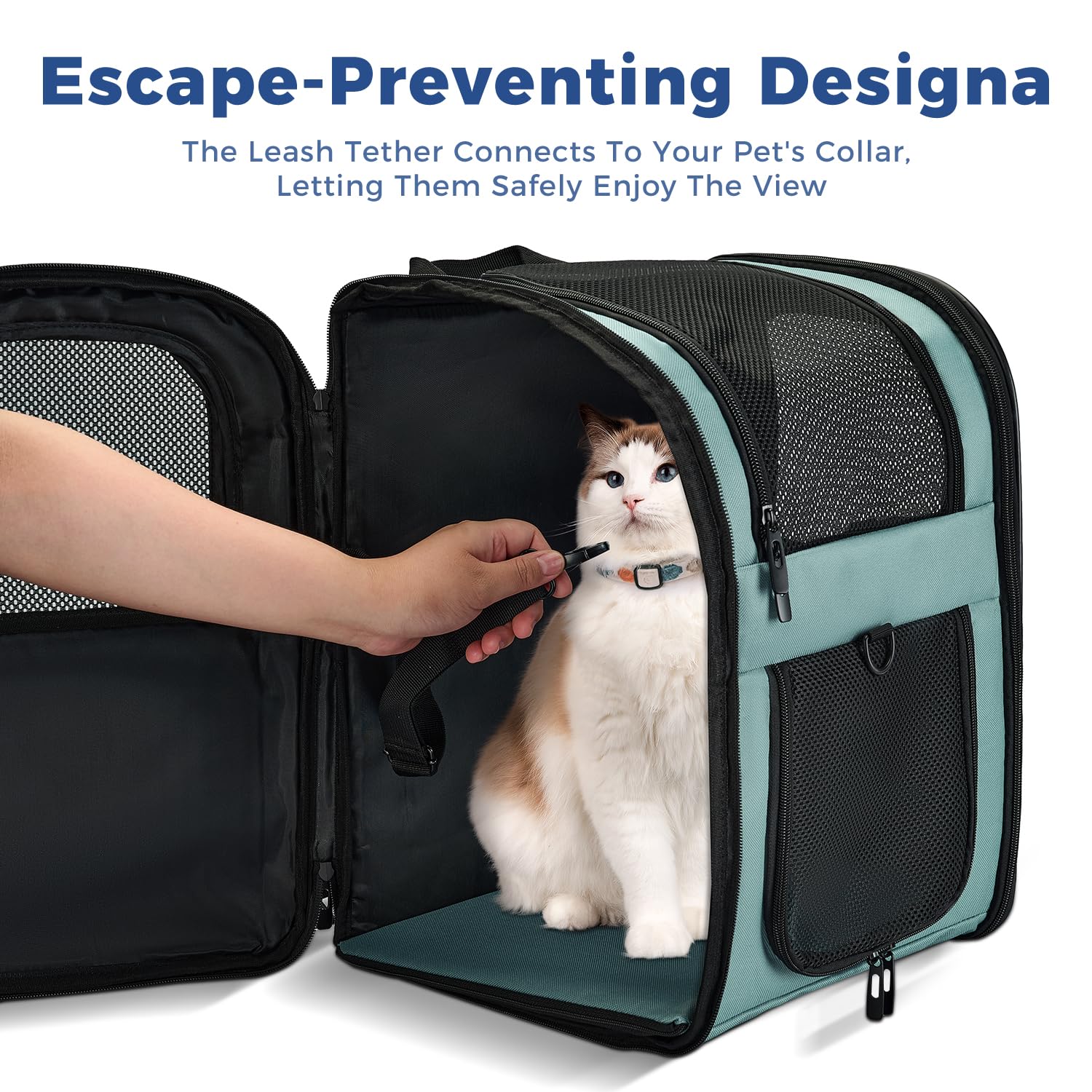 Apollo Walker Dog Cat Carrier Backpack for 4- Pets Ventilated Carrier