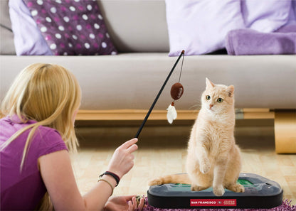 Pets First Cute Cat Toy SAN Francisco 49ERS Football Field Catnip