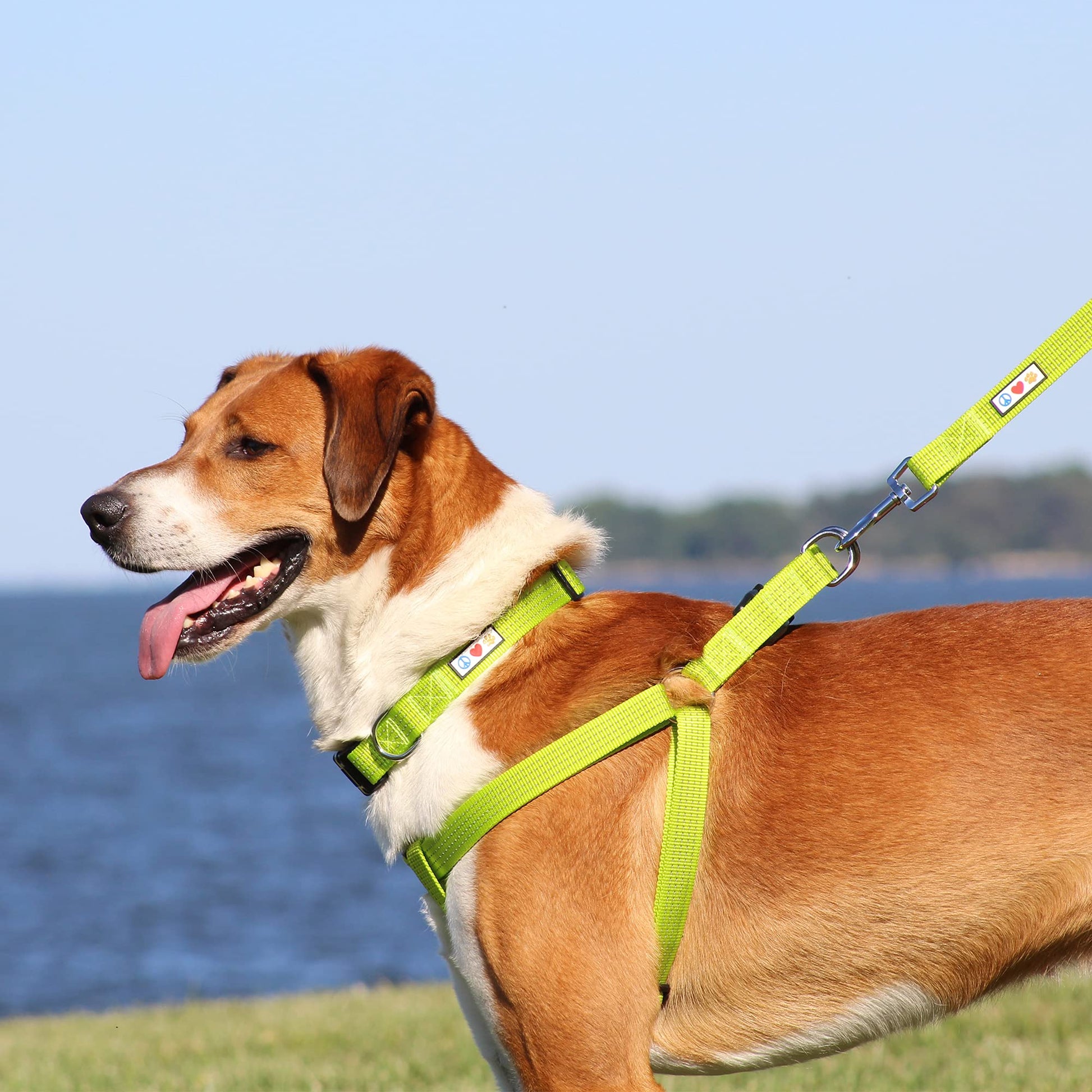 Pawtitas Reflective Step-in Dog Harness Adjustable No-Pull Vest