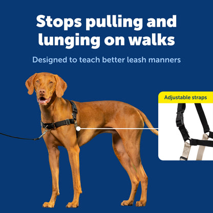 PetSafe Easy Walk No-Pull Dog Harness Harness to Help Stop Leash