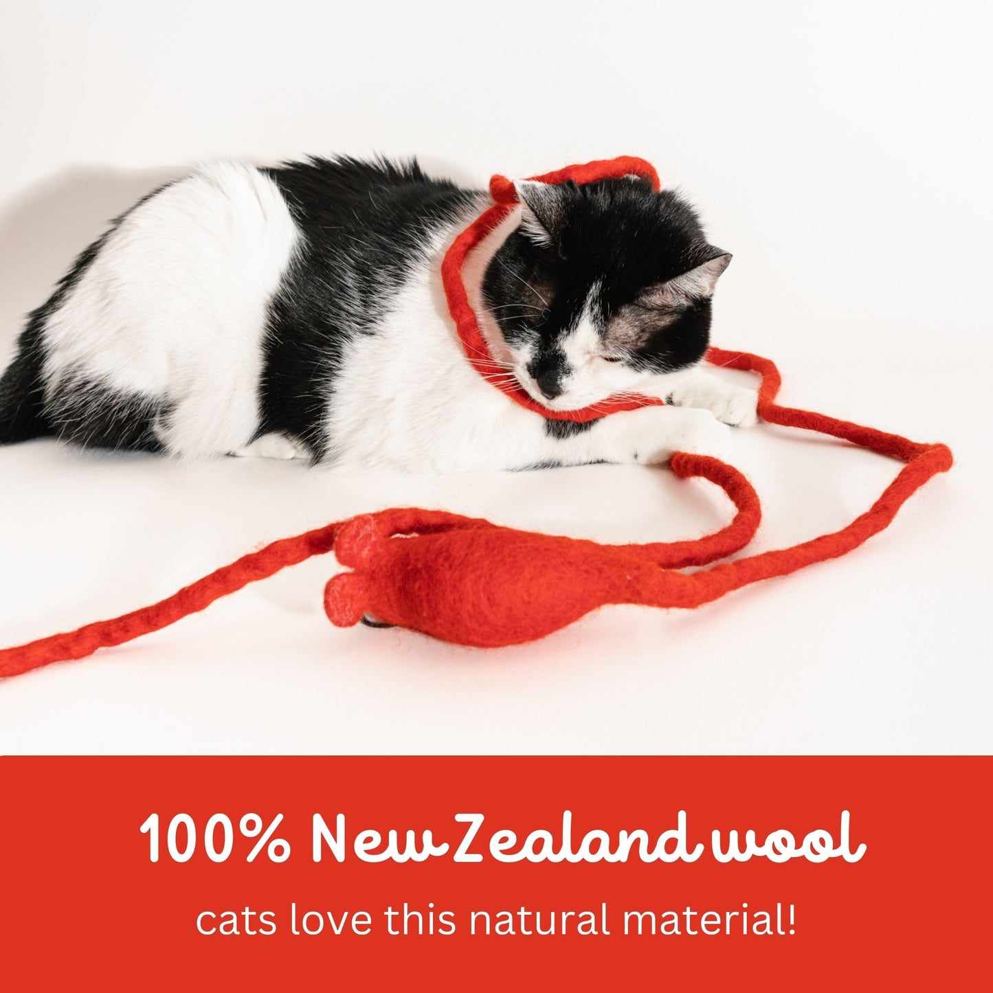 Catch a Mouse by The Tail Wool Cat Mouse Toy with a 6-Foot Tail Catnip