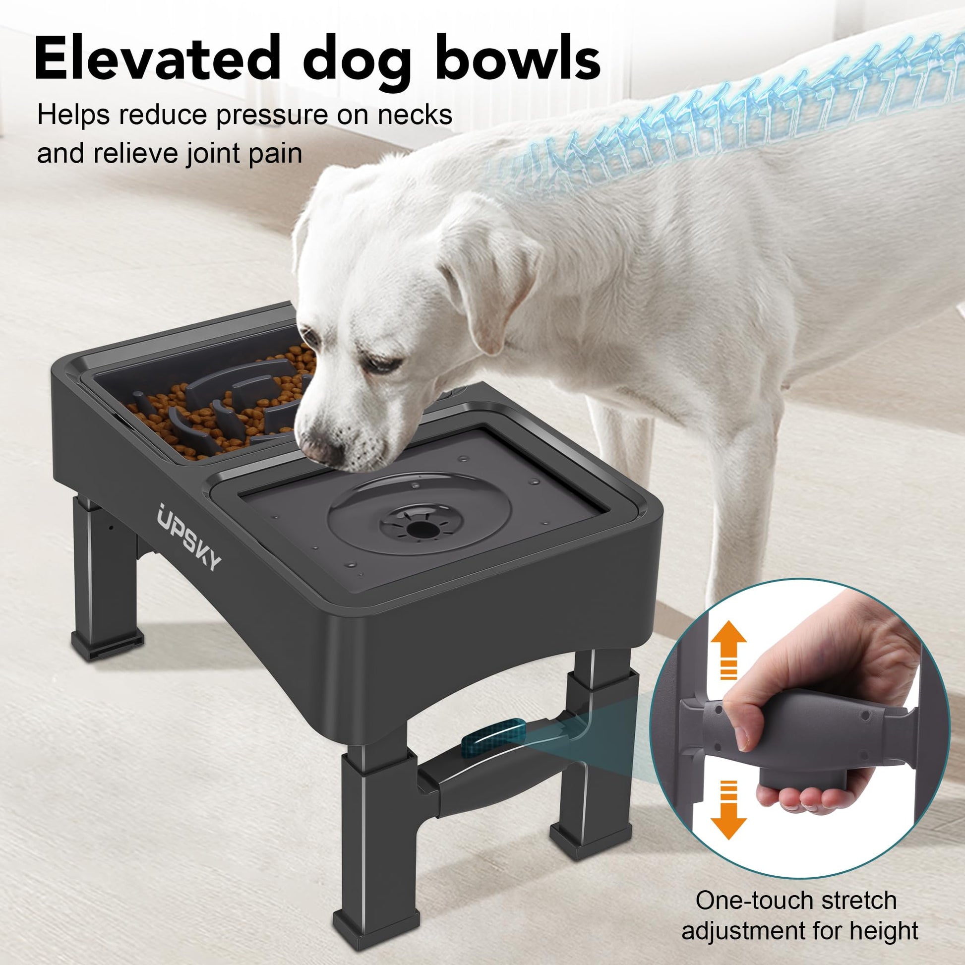 UPSKY 2-in-1 Elevated Dog Bowls Slow Feeder, 4 Height Adjustable Bowl