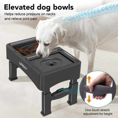 UPSKY 2-in-1 Elevated Dog Bowls Slow Feeder, 4 Height Adjustable Bowl