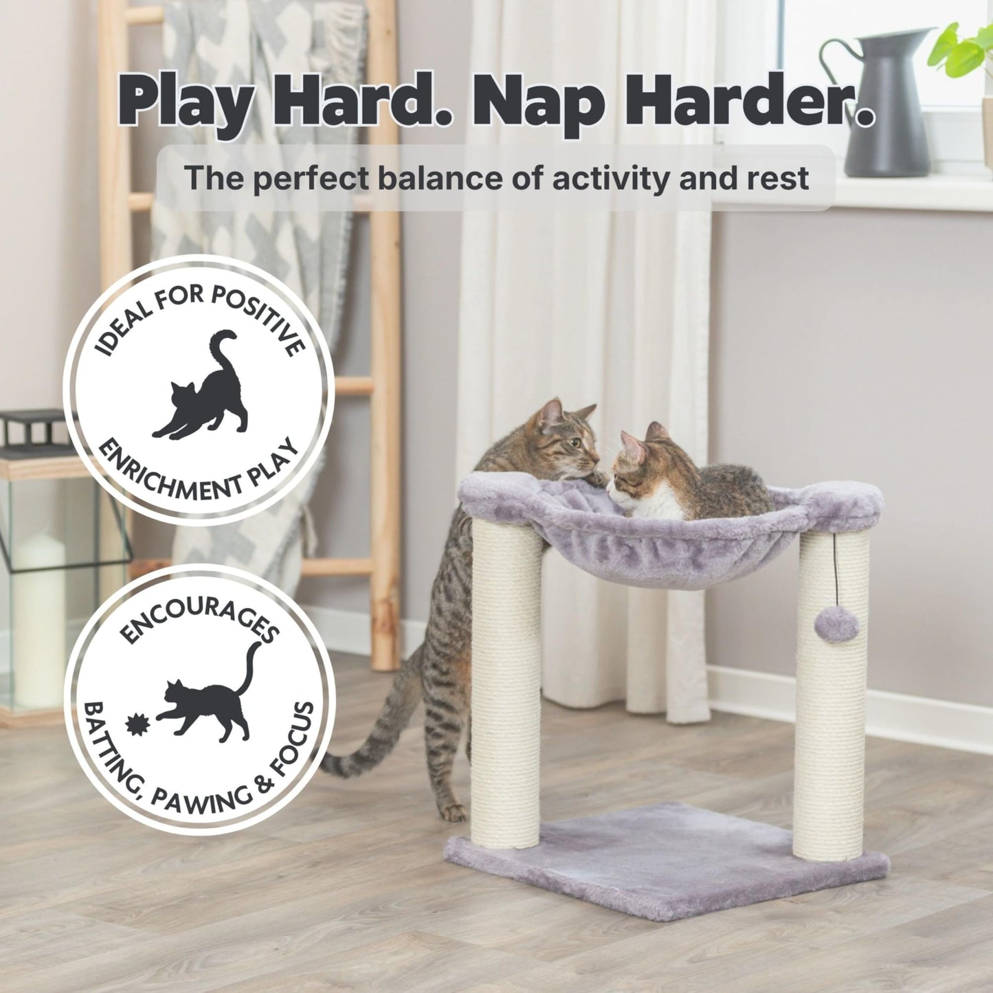 Trixie Baza Cat Scratching Posts, Indoor Cat Furniture with Plush Ball