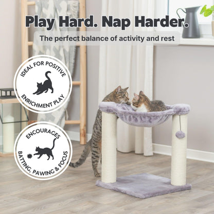Trixie Baza Cat Scratching Posts, Indoor Cat Furniture with Plush Ball