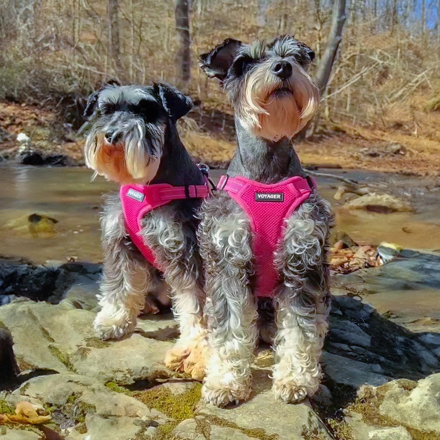 Best Pet Supplies Voyager Mesh Dog Breathable Harness Reflective Set