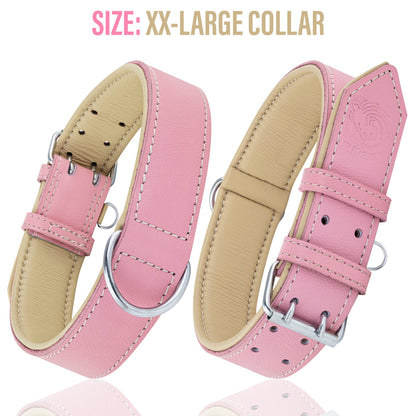 Riparo Dog Collar, Puppy Collar, Leather Dog Collar with Dog Collar