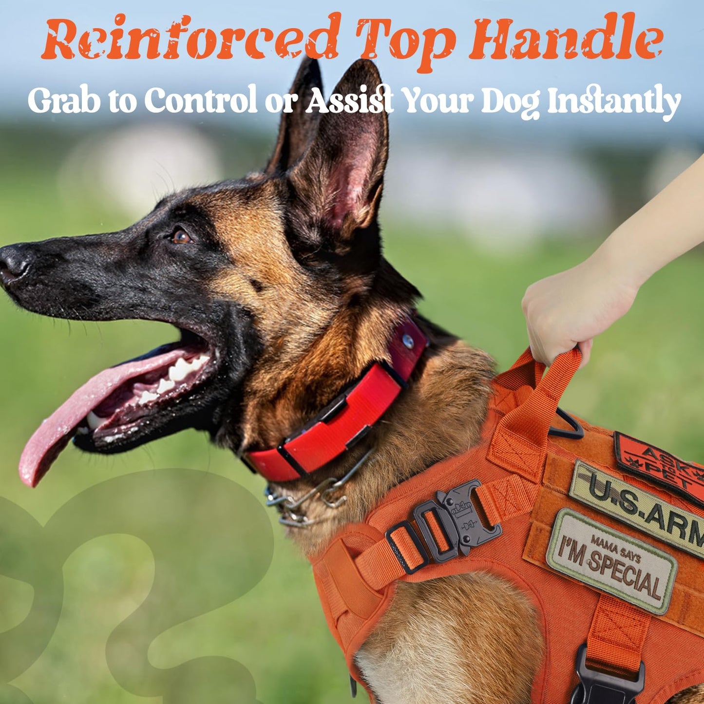 rabbitgoo Tactical Dog Harness Medium Sized, Heavy Duty Pet Harness