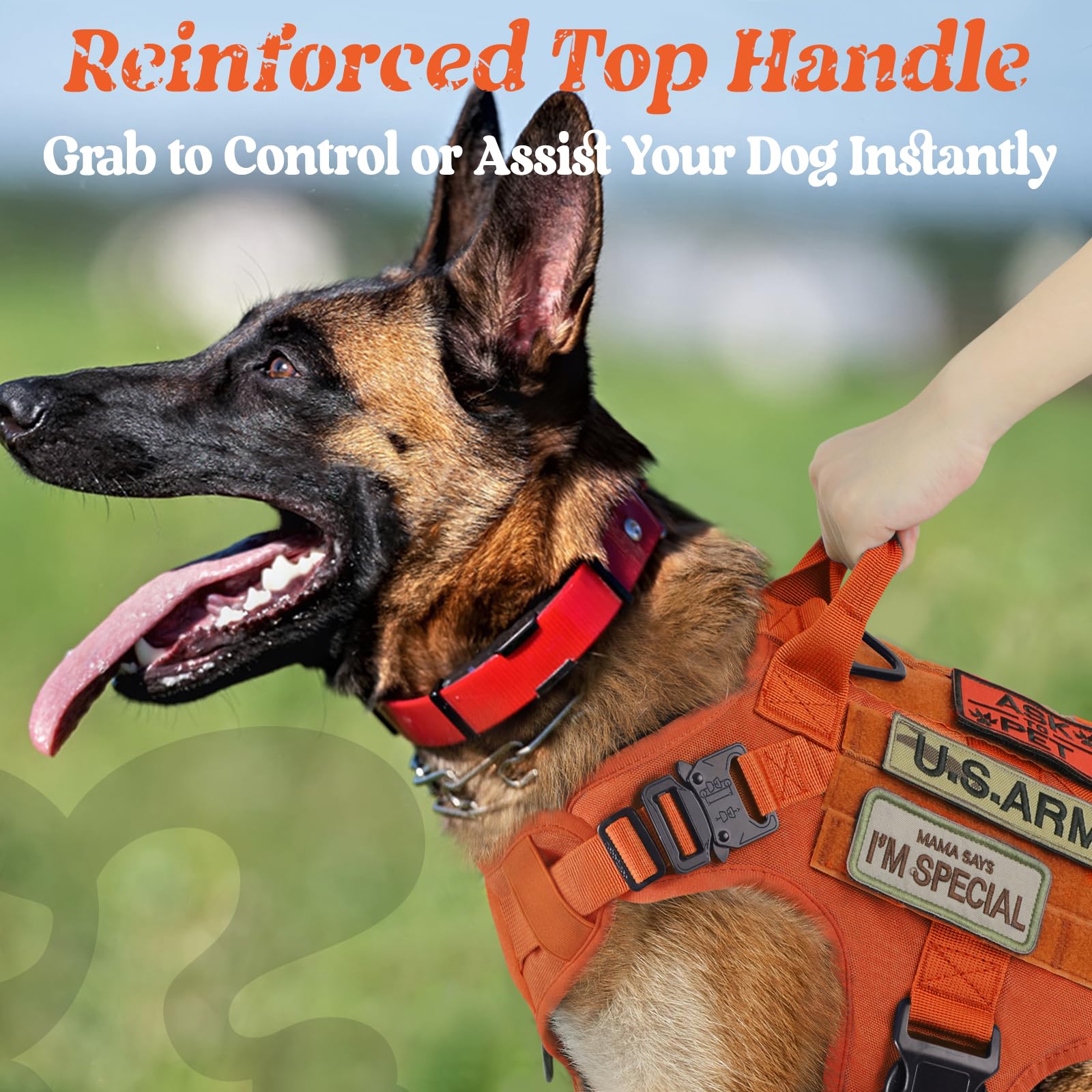 rabbitgoo Tactical Dog Harness Medium Sized, Heavy Duty Pet Harness