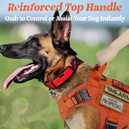 rabbitgoo Tactical Dog Harness Medium Sized, Heavy Duty Pet Harness