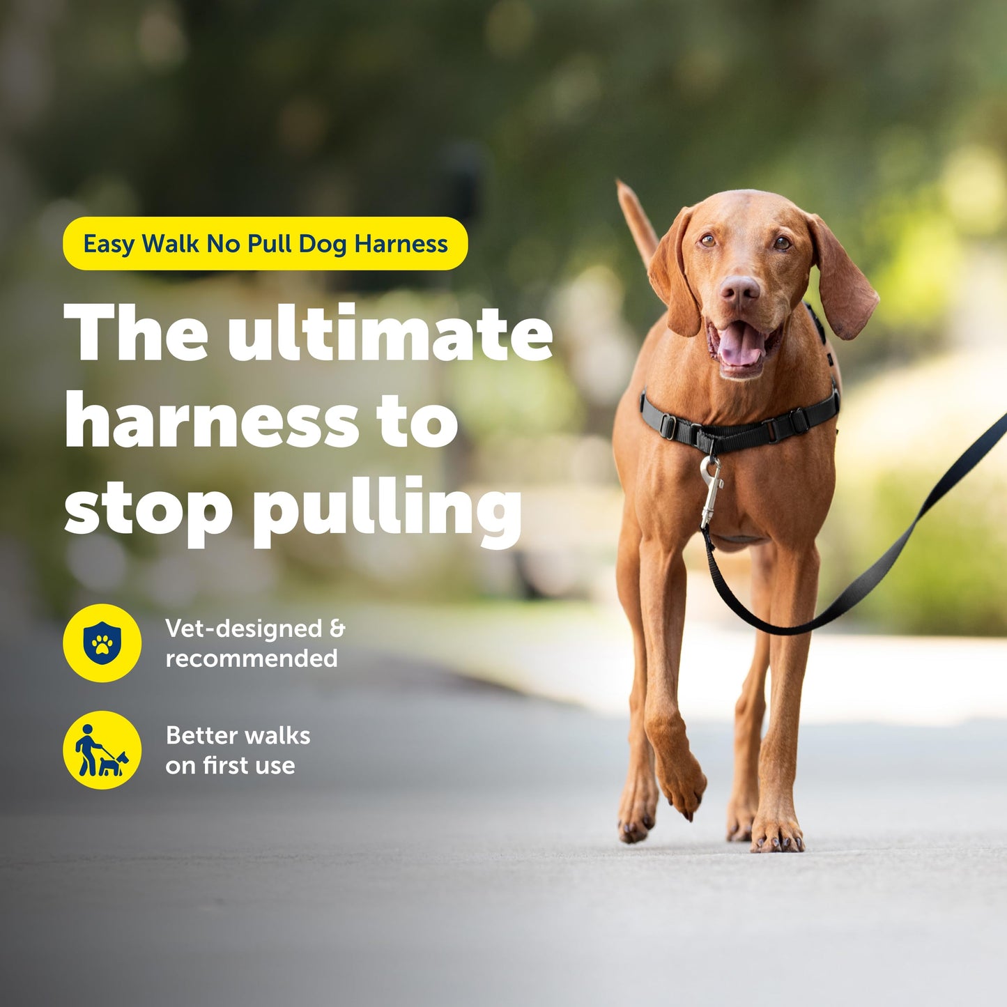 PetSafe Easy Walk No-Pull Dog Harness Harness to Help Stop Leash