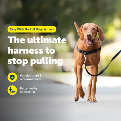 PetSafe Easy Walk No-Pull Dog Harness Harness to Help Stop Leash