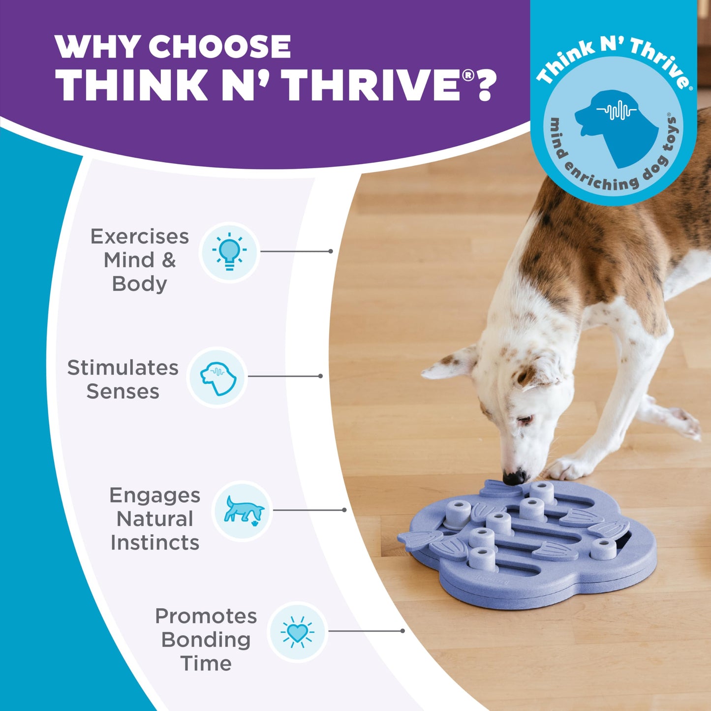 Outward Hound by Nina Ottosson Dog Hide N' Slide Interactive Treat Toy