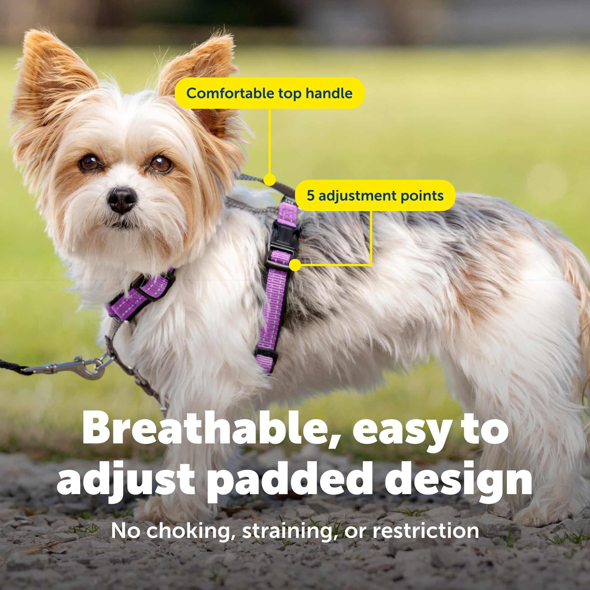 PetSafe 1 Dog Harness No Pull Solution for Dogs Reflective Dog Harness