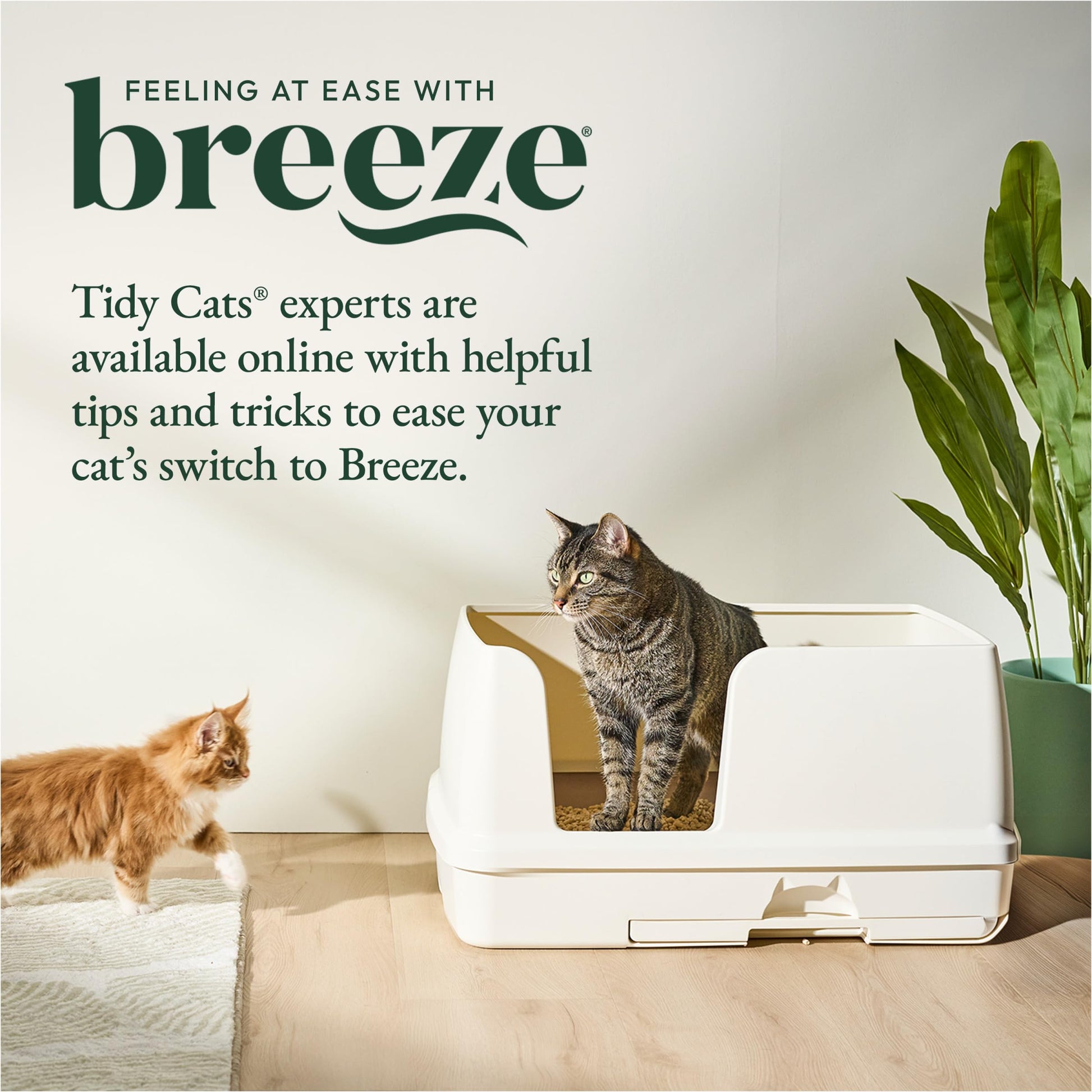 Purina Tidy Cats Litter System, Non-Clumping, Breeze XL Odor Box