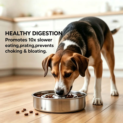 AIPERRO Slow Feeder Dog Bowl Stainless Steel, 2 Cups Metal Bowl