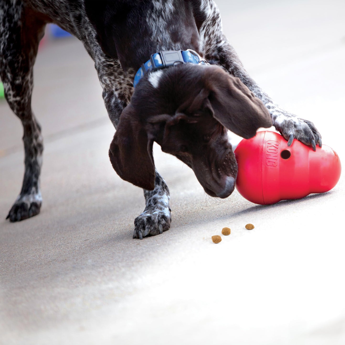 KONG Wobbler Interactive Dog Toy for Treat Dispensing Dog Slow Feeder