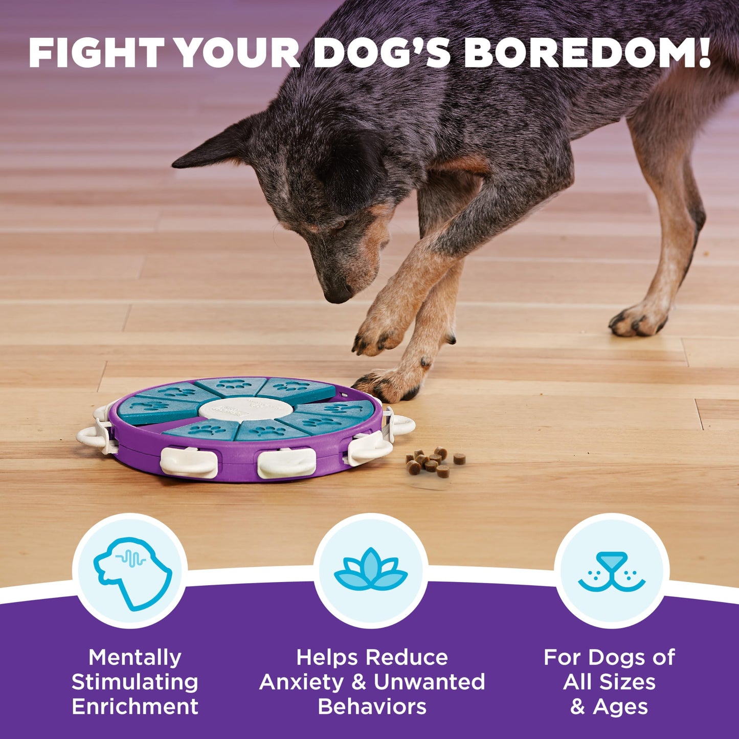 Outward Hound by Nina Ottosson Dog Twister Interactive Treat Puzzle