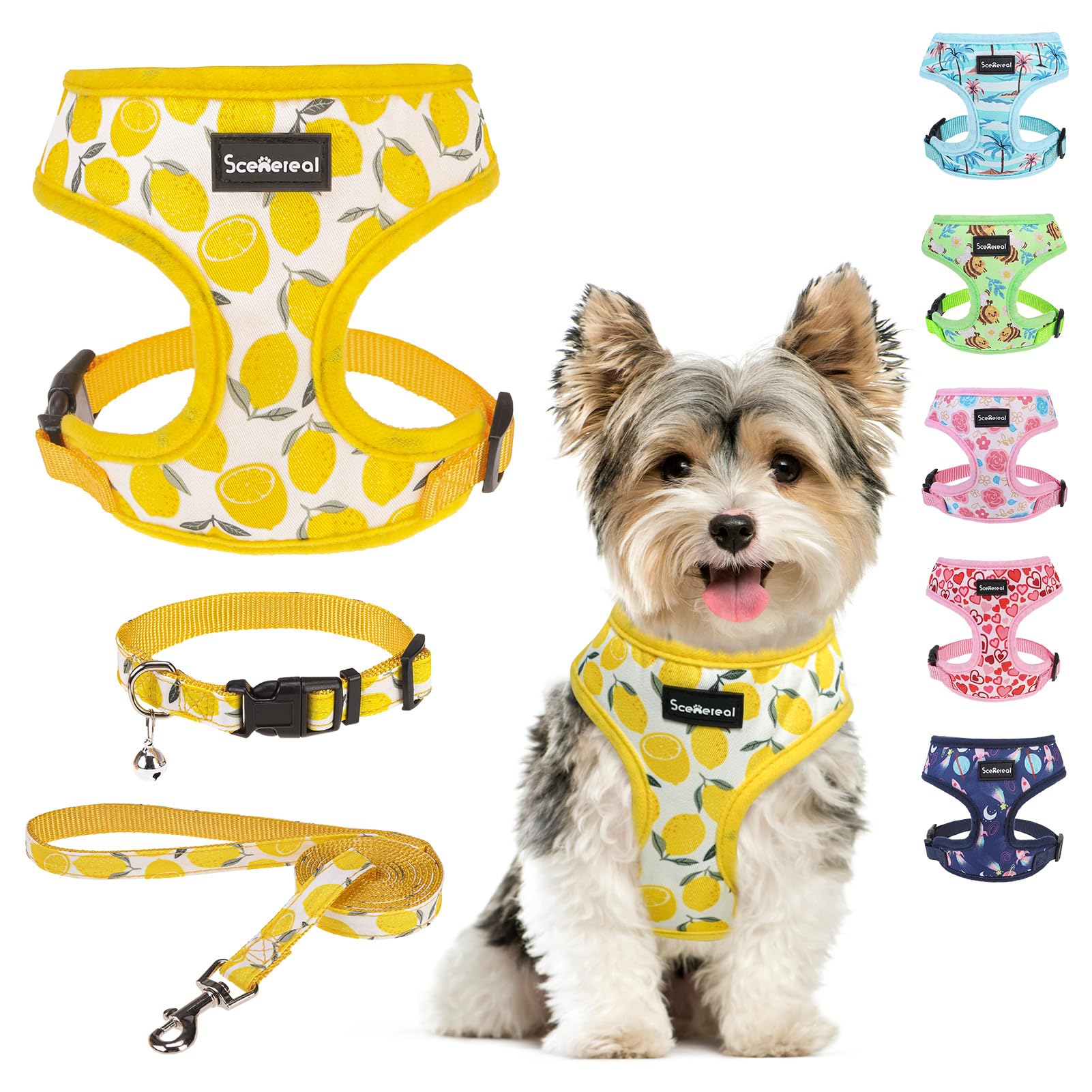 SCENEREAL Small Dog Harness and Leash Collar Set No Pull Dog Harness